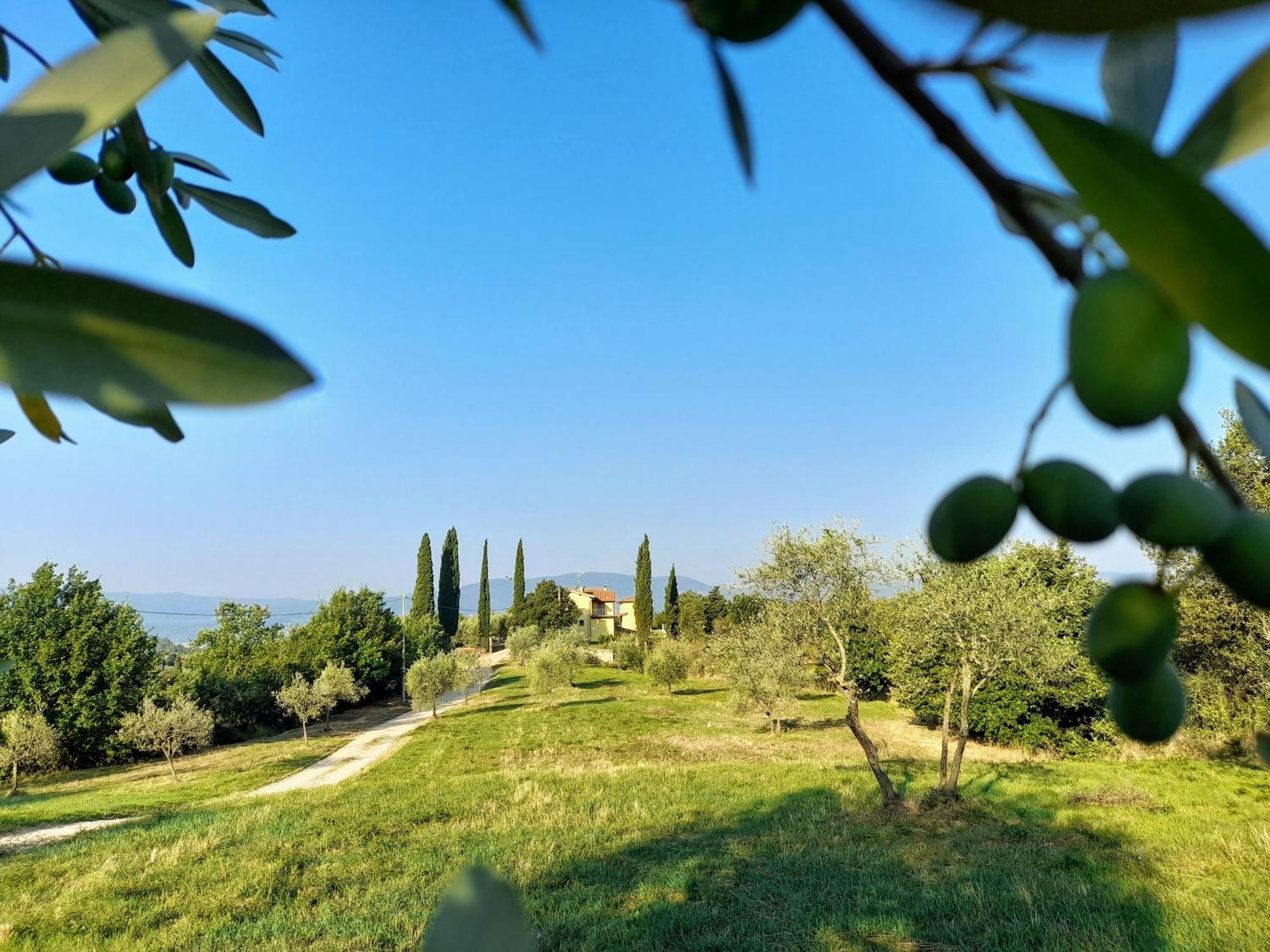 Casa Giulia Villa เรกเจลโล ภายนอก รูปภาพ